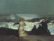 Winslow Homer A Summer Night (san39) oil painting on canvas
